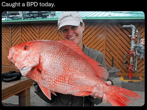 seafood for borderline personality disorder